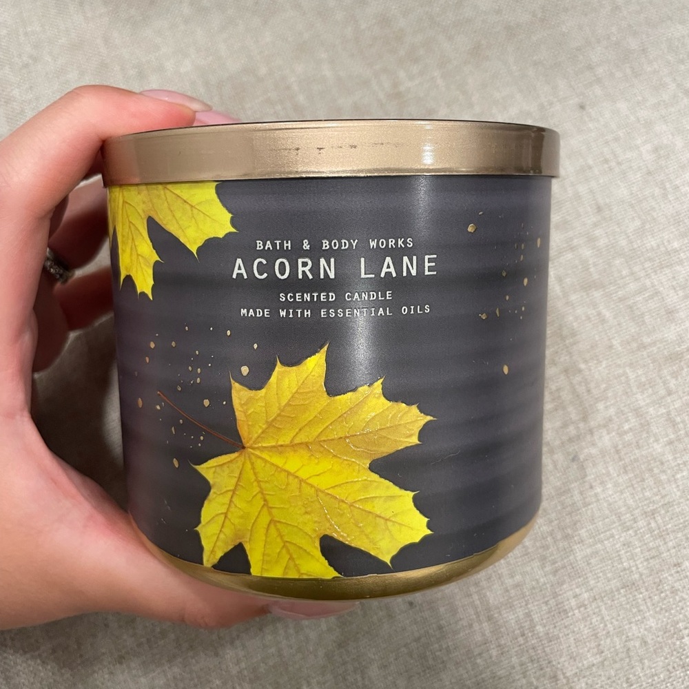 NEW bath and body works acorn lane candle!